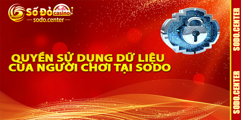 Quyền Sử Dụng Dữ Liệu Của Người Chơi Tại Sodo